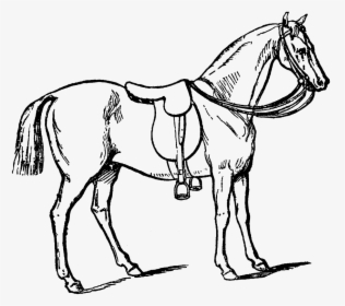 Transparent Running Horse Silhouette Png - Chetak Horse Images Line Art, Png Download, Transparent PNG