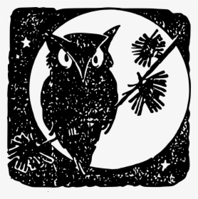 Owl Moon Bird Free Photo - Gambar Burung Hantu Dan Bulan, HD Png Download, Transparent PNG