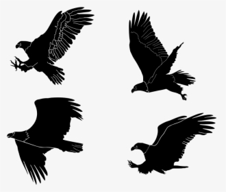 Eagles Silhouettes Set By Rajesh Misra - Transparent Bald Eagle Silhouette, HD Png Download, Transparent PNG