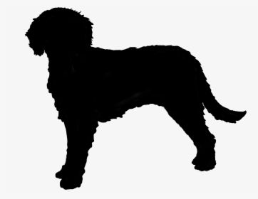 Australian Cobberdog Silhouette - Silhouette Of A Labradoodle, HD Png Download, Transparent PNG