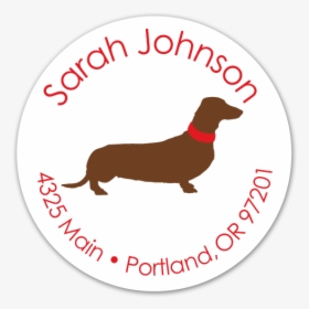 Dachshund, HD Png Download, Transparent PNG