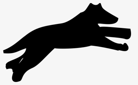 Puppy Maltese Dog Dachshund Bulldog Cat, HD Png Download, Transparent PNG