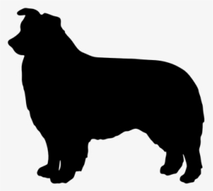 Australian Cattle Dog Silhouette At Getdrawings - Australian Shepherd Silhouette Png, Transparent Png, Transparent PNG
