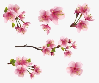 Flower Spring Png - Pink Tiny Flowers Png, Transparent Png, Transparent PNG