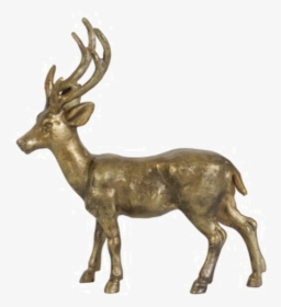 Red Deer Table Reindeer Elk - Elk, HD Png Download, Transparent PNG