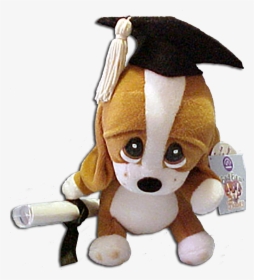 Graduation Plush Sad Sam With Personable Diploma Basset - Sad Sam, HD Png Download, Transparent PNG