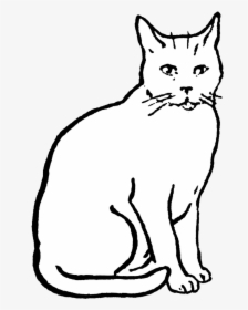 Cat Drawing, Animals Images, Digital Stamps Free, Clipart - Clip Art Of Cat, HD Png Download, Transparent PNG