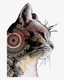 Mandala Cat Drawing, HD Png Download, Transparent PNG