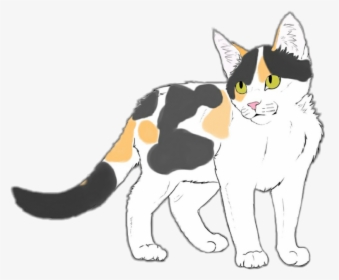 My Cat - Drawing - Domestic Short-haired Cat, HD Png Download, Transparent PNG