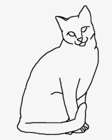 Drawn Cat Outline Drawing - Cat Drawing Outline Sitting, HD Png Download, Transparent PNG
