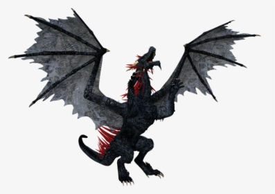 Dragon, Black Dragon, Animal, Reptile, Lizard, Fantasy - Dragon, HD Png Download, Transparent PNG