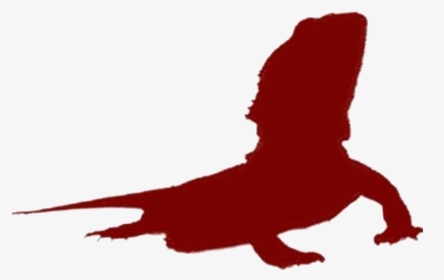Transparent Bearded Dragon Clipart, Bearded Dragon - Illustration, HD Png Download, Transparent PNG