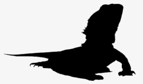 Bearded Dragon Png Image - Bearded Dragon Silhouette Free, Transparent Png, Transparent PNG