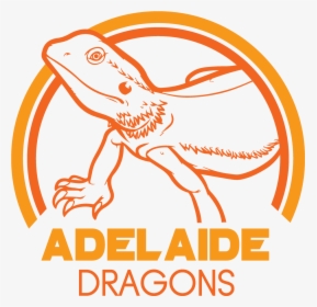 Draw A Bearded Dragon - Lizard Colouring, HD Png Download, Transparent PNG