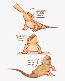 Cute Bearded Dragon Drawing, HD Png Download, Transparent PNG
