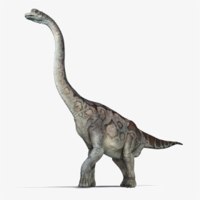 Brachiosaurus Png Pic - Brachiosaurus Png, Transparent Png, Transparent PNG