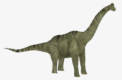 Brachiosaurus Png Clipart - Brachiosaurus Jurassic Park Transparent, Png Download, Transparent PNG