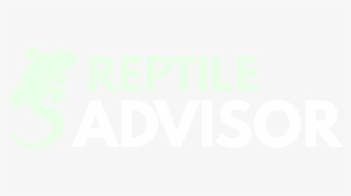 Reptile Advisor - Graphic Design, HD Png Download, Transparent PNG