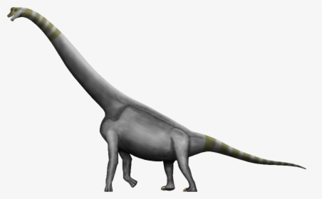 Brachiosaurus Argentinosaurus Dinosaur Size Amphicoelias - Dinosaur Png, Transparent Png, Transparent PNG
