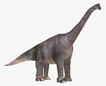 Dinosaur - Brachiosaurus Transparent Png, Png Download, Transparent PNG