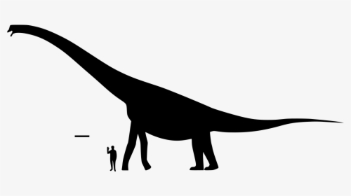 File - Brachiosaurus Size - Svg - Brachiosaurus Size 2019, HD Png Download, Transparent PNG