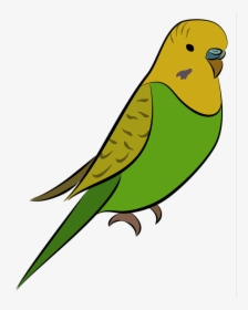 Budgie, Parakeet, Bird, Pet, Yellow, Green, Budgerigar - Muhabbet Kuşu Resmi Çizimi, HD Png Download, Transparent PNG