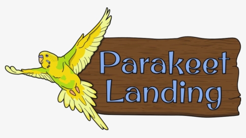 Parakeet Landing At Clyde Peeling S Reptiland - Parakeet, HD Png Download, Transparent PNG