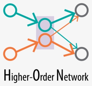 Higher-order Network - Higher Order Network, HD Png Download, Transparent PNG