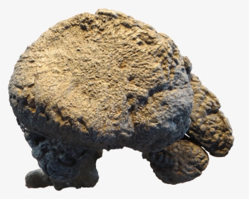 Igneous Rock, HD Png Download, Transparent PNG