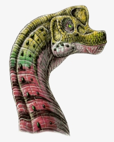Giraffatitan Brachiosaurus Skull, HD Png Download, Transparent PNG