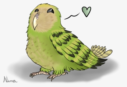 Drawn Parakeet Kakapo - Kakapo Png, Transparent Png, Transparent PNG