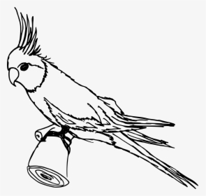 Drawing Alphabets Parrot - Parrot Clipart Black And White Transparent, HD Png Download, Transparent PNG