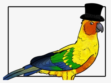Image Black And White Download Birb Drawing Conure - Parakeet, HD Png Download, Transparent PNG