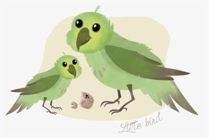 Drawn Parakeet Kakapo - Budgie, HD Png Download, Transparent PNG