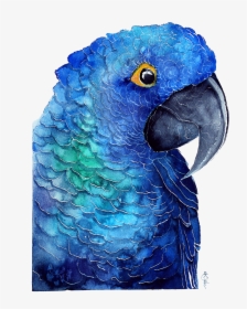 Blue Parrot Download Transparent Png Image - Papuga Grafika, Png Download, Transparent PNG