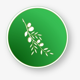 Olive - Circle - Olive Video Editor Icon Svg, HD Png Download, Transparent PNG