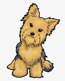 Yorkshire Terrier Puppy Maltese Dog English Toy Terrier - Yorkshire Terrier Graphic Cute, HD Png Download, Transparent PNG