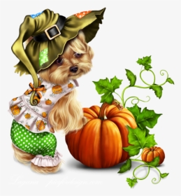 Little Pumpkin Yorkie - Yorkie Thanksgiving Clipart, HD Png Download, Transparent PNG