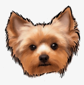 The Yorkshire Terrier, Or The Yorkie, May Be One Of - Easy Yorkie Terrier Drawings, HD Png Download, Transparent PNG