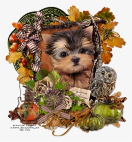 Yorkies Clipart Brown Puppy - Thanksgiving Yorkie, HD Png Download, Transparent PNG
