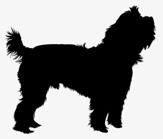 Yorkie Silhouette Vector, HD Png Download, Transparent PNG