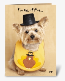 Thanksgiving Puppy Greeting Card, HD Png Download, Transparent PNG