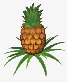Juice Pineapple Fruit Clip Art Cartoon Ⓒ - Pineapple On Plant Png, Transparent Png, Transparent PNG