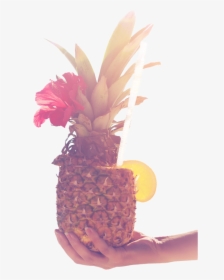 Happy Png Pineapple Legs - Sé Una Piña Ponte De Pie Ponte, Transparent Png, Transparent PNG