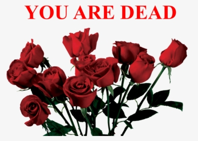 #tumblr #aesthetic #roses #red #dead #sad #freetoedit - Aesthetic Transparent Rose Png, Png Download, Transparent PNG