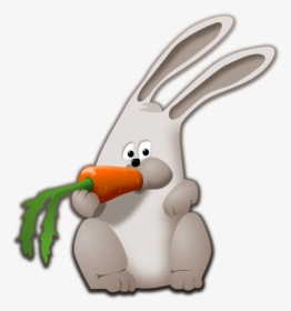 Rabbit Eating Carrot Funny, HD Png Download, Transparent PNG