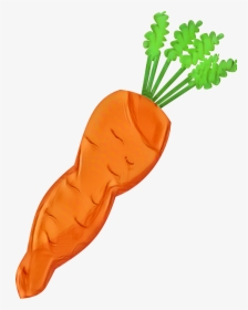 Baby Carrot Clip Art Vegetable Carrot Salad - Clip Art Carrot, HD Png Download, Transparent PNG