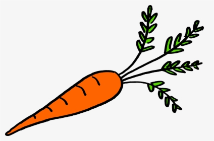 Potatoes Drawing Underground - Vegetables That Grow Underground Roots, HD Png Download, Transparent PNG