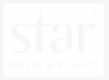 Star® Roses And Plants - Graphic Design, HD Png Download, Transparent PNG
