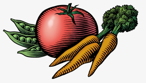 Transparent Carrot Clipart Png - Farmers Market Images Clip Art, Png Download, Transparent PNG